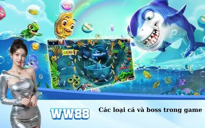 Các loại cá và boss trong game