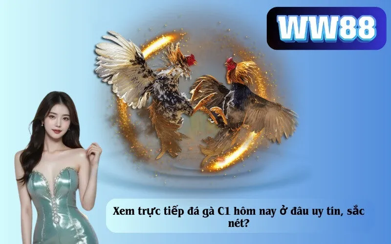 Xem trực tiếp đá gà C1 hôm nay ở đâu uy tín, sắc nét?